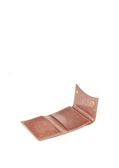 Chase Passport Wallet Icy Champagne