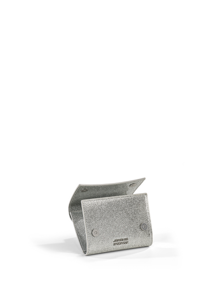 Chase Passport Wallet Icy Silver